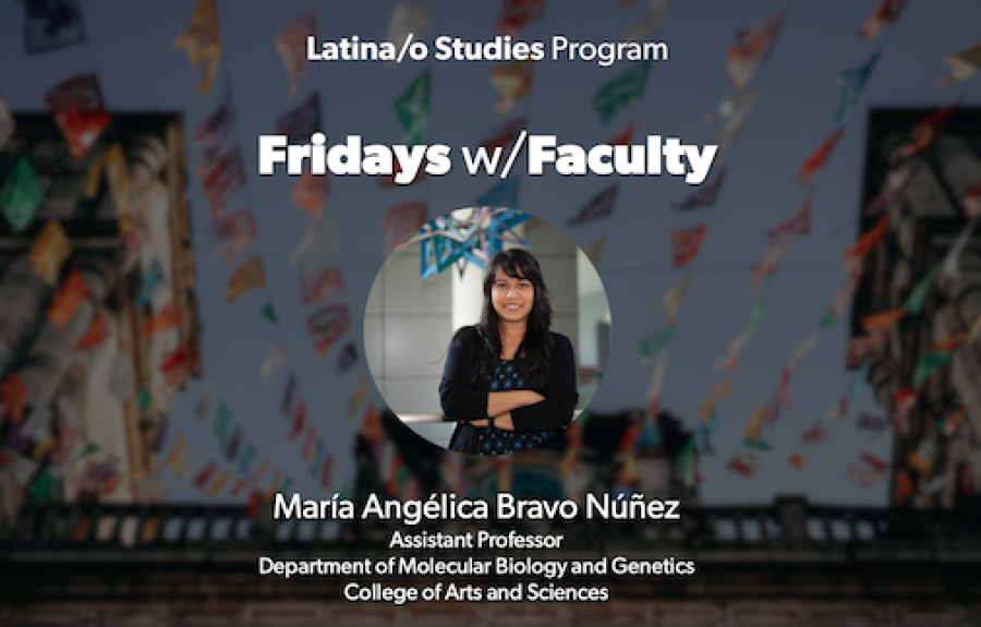 Maria Angelica Bravo Núñez