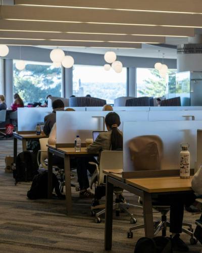 Students in library desks