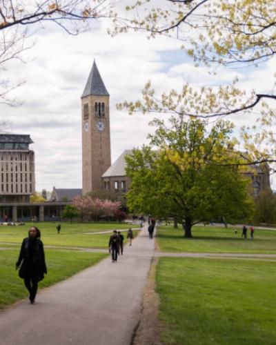 Picture of Cornell Unversity