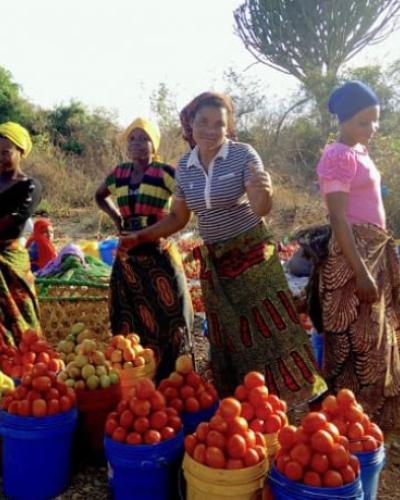 Roadside vendors sell tomatoes in Mikumi, Tanzania by Ewan Robinson