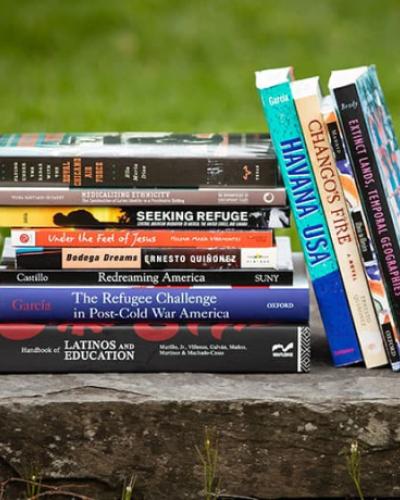 Set of books from Latina/o Studies library